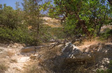 Similar image 21326775