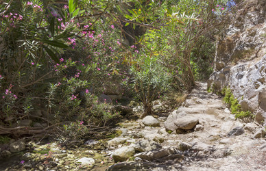 Similar image 21326777