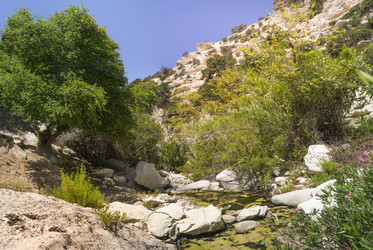 Similar image 21326779