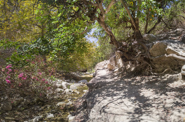 Similar image 21326781