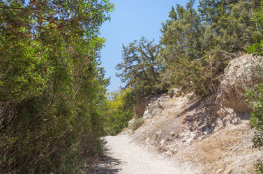 Similar image 21326783