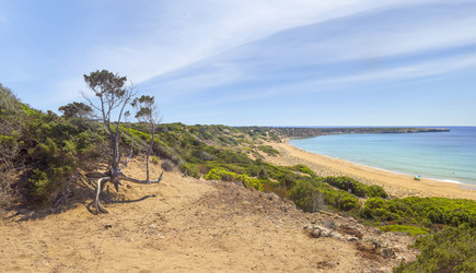 Similar image 21326788