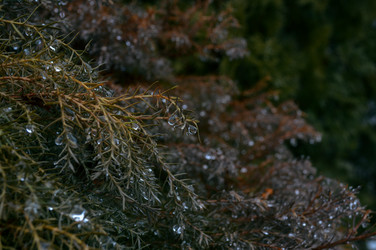 Similar image 21327422