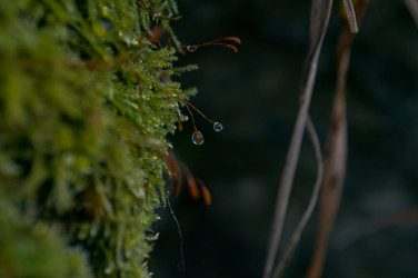 Similar image 21326851