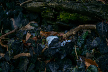 Similar image 21327425