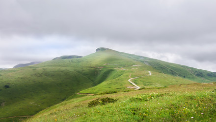 Similar image 21327328