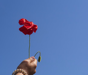 Similar image 21327426