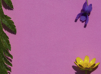 Similar image 21327429