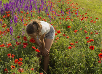 Similar image 21327430