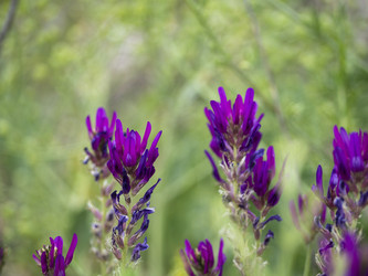 Similar image 21327431