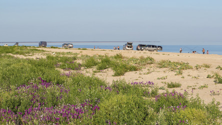 Similar image 21327432