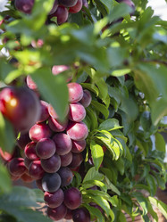 Similar image 21327435