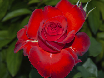 Similar image 21327438