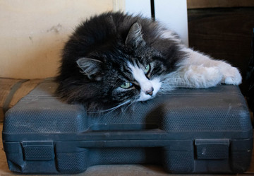 Similar image 21327337