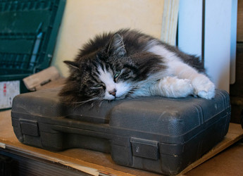 Similar image 21327338