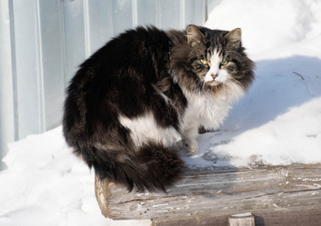 Similar image 21327342