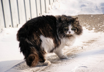 Similar image 21327343