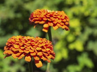 Similar image 21327450