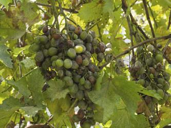 Similar image 21327455