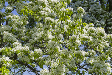 Similar image 21329111