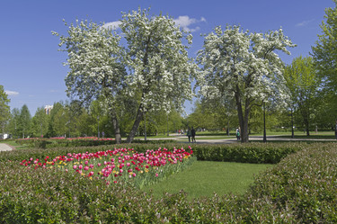 Similar image 21329113