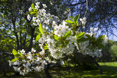 Similar image 21329114