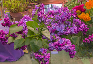 Similar image 21329115