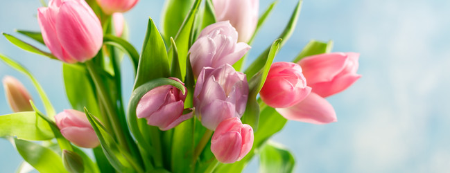 Similar image 21335146