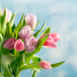 Similar image 21335148