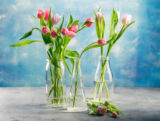 Similar image 21335152