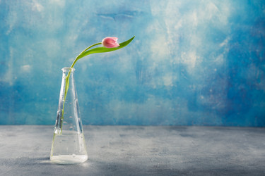 Similar image 21335153