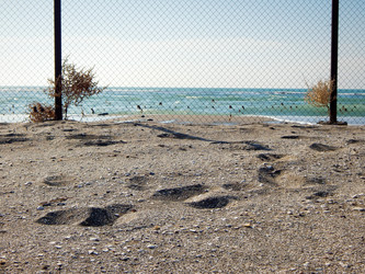 Similar image 21331893