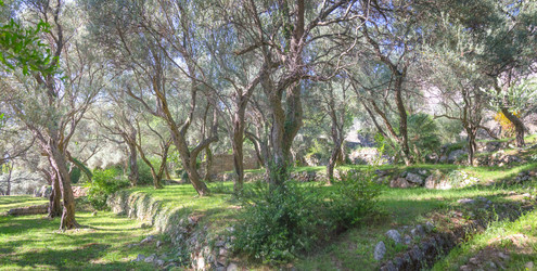 Similar image 21327947