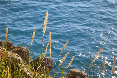 Similar image 21327952