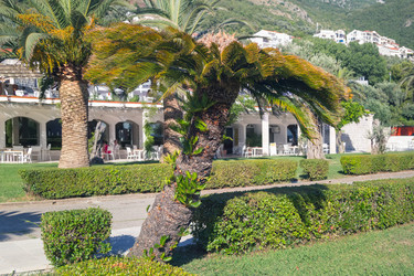 Similar image 21327953