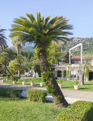 Similar image 21327954