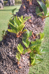 Similar image 21327955