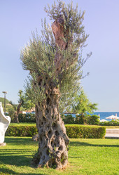 Similar image 21327956