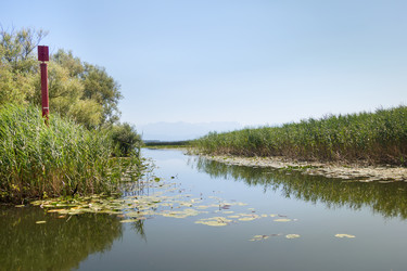 Similar image 21327959