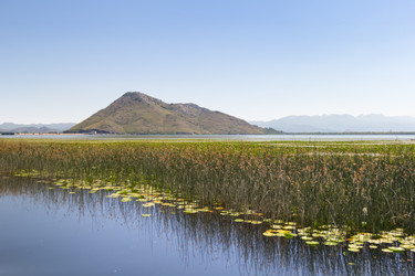 Similar image 21327960