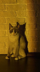 Similar image 21329119