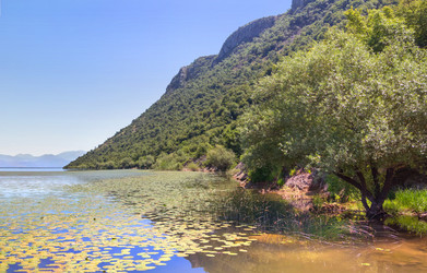 Similar image 21327969