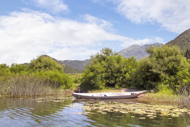 Similar image 21327970