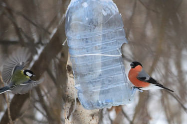 Similar image 21337533