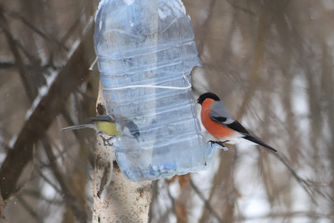 Similar image 21337534