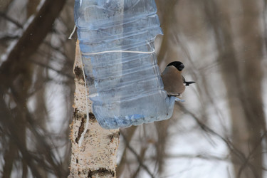 Similar image 21337535