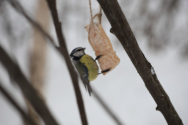 Similar image 21337538