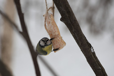 Similar image 21337539