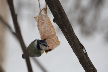 Similar image 21337540