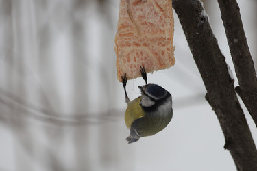 Similar image 21337541